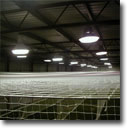 Indoor Cricket Nets Synthetic Wicket